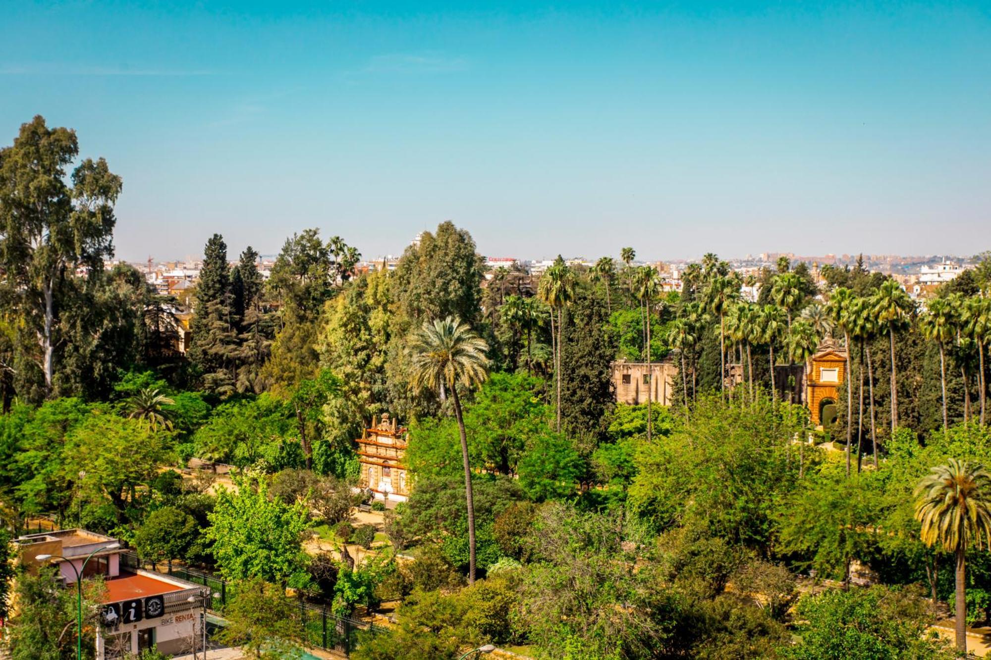 Alcazar 3*